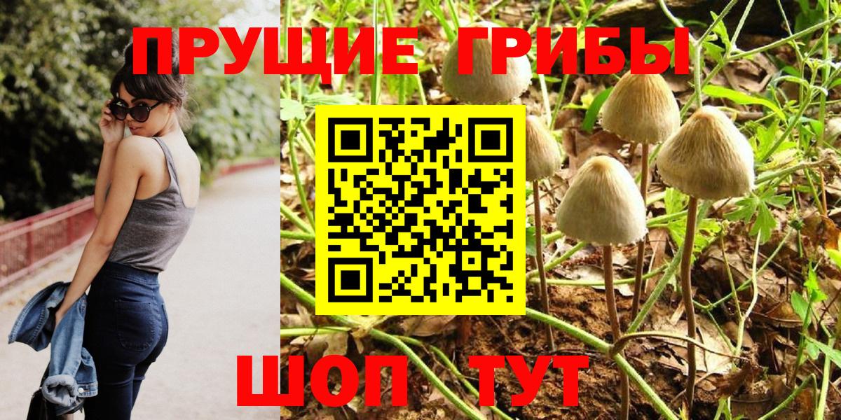 Псилоцибиновые грибы Psilocybe  Вход с VPN  Ревда 